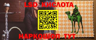 прущие грибы Краснознаменск