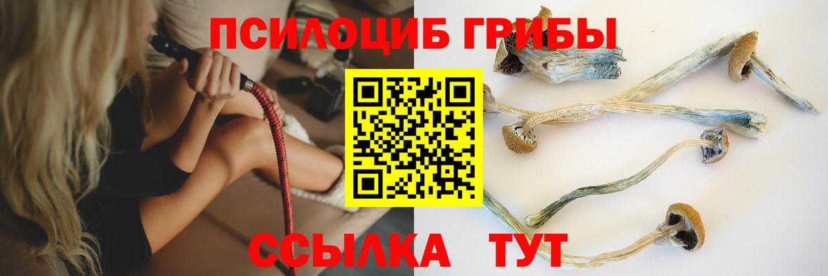 закладка  Галлюциногенные грибы ЛСД  Вход с VPN  Кизилюрт 